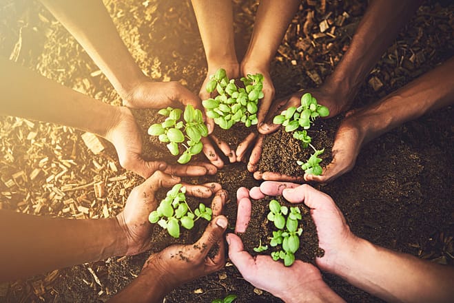 Closeup shot of a group of unrecognizable people holding plants growing out of soil.