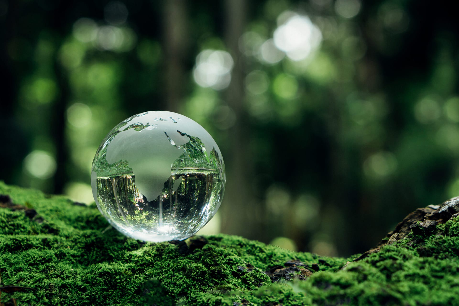 Crystal earth on moss with nature background.Environment, save clean planet, ecology concept.World sustainable environment concept.